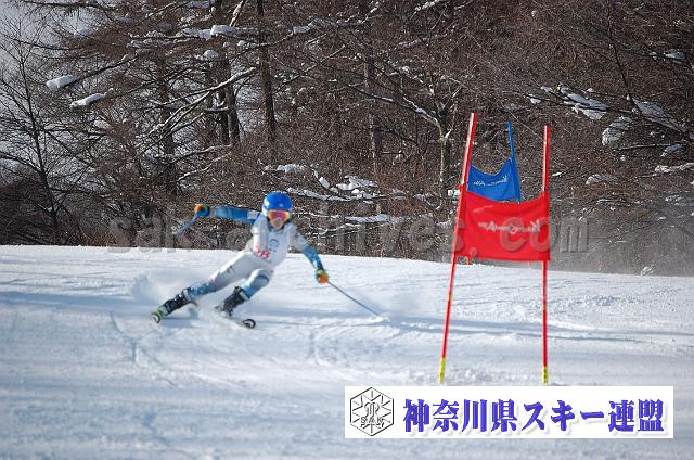 141221_102910_0.jpg