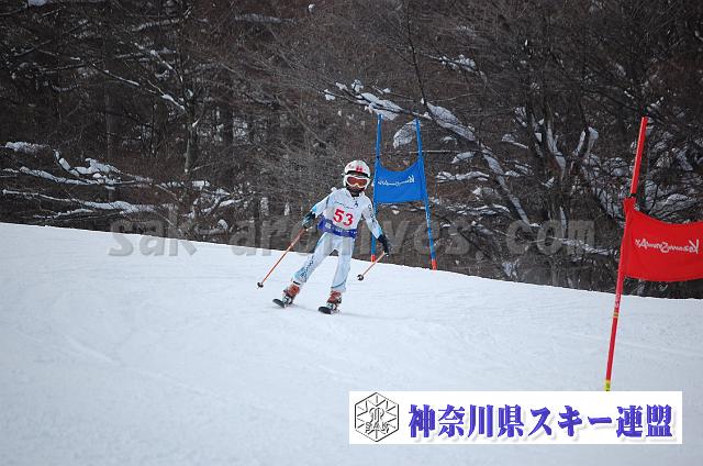 141221_110019_0.jpg