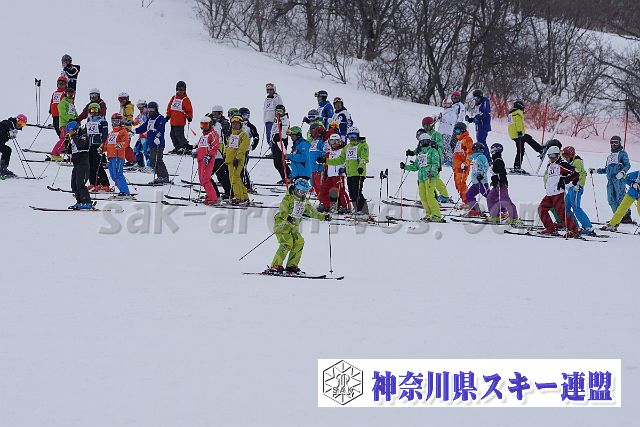 150306_132648_1.jpg