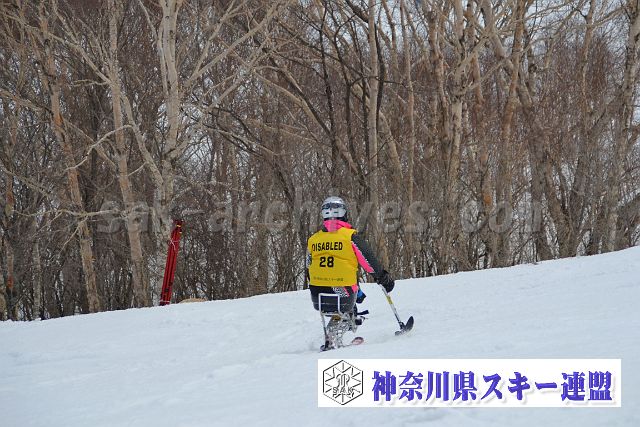 150328_114210_2.jpg