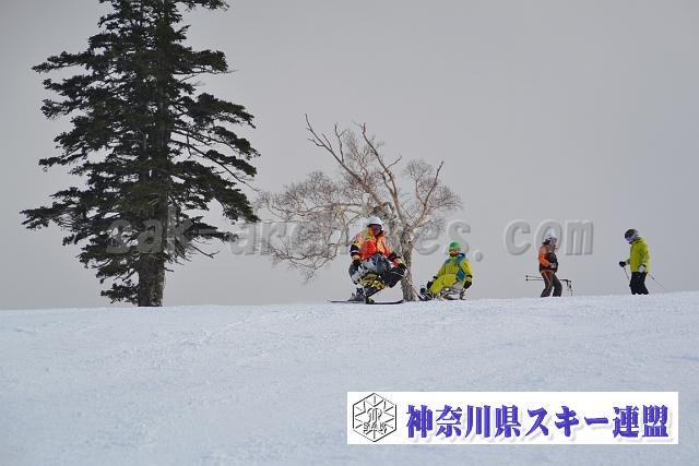 151210_131918_0.jpg