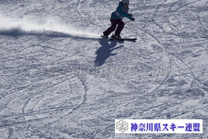 20170128_111939_0.jpg