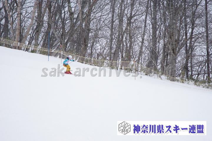 20170129_120010_0.jpg