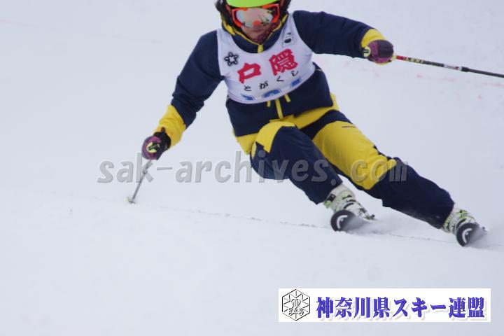 20170129_120308_0.jpg