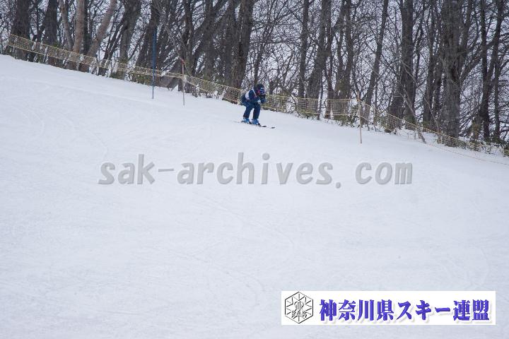 20170129_121159_0.jpg