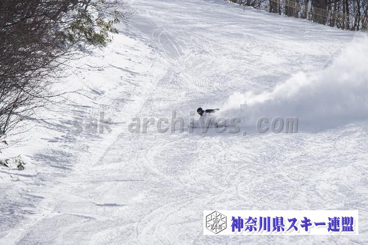 20170129_121657_1.jpg