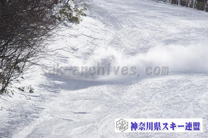 20170129_121658_0.jpg