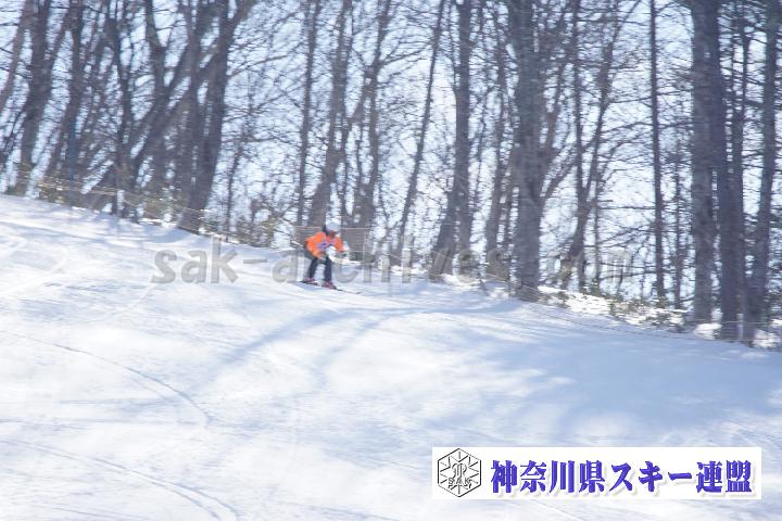 20170129_112045_0.jpg