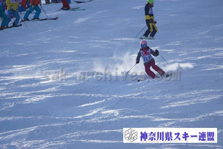 20170129_093436_1.jpg