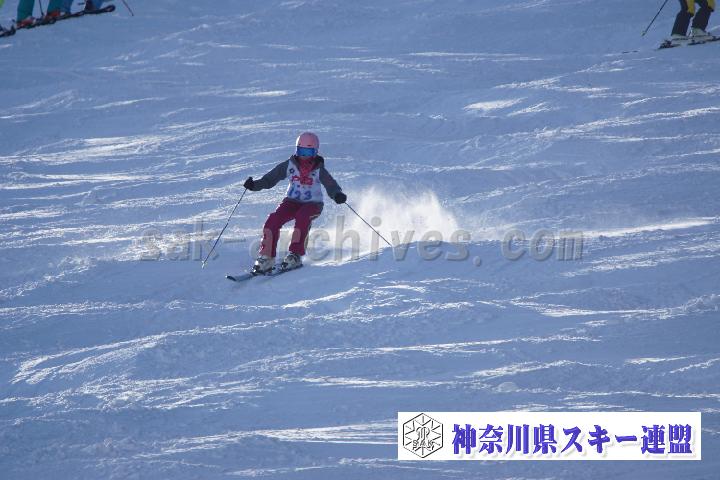 20170129_093439_0.jpg