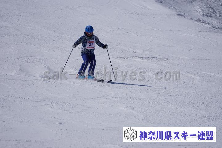170304_115407_0.jpg