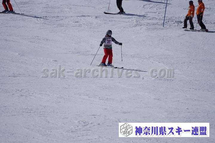 170304_115831_0.jpg