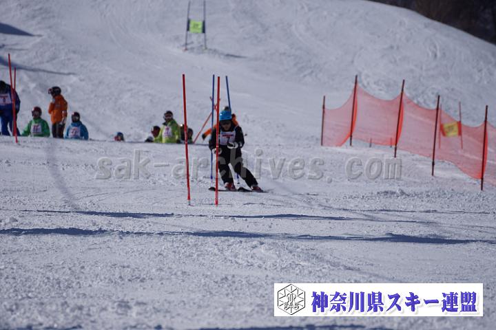 170304_133149_1.jpg