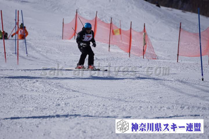 170304_133151_1.jpg