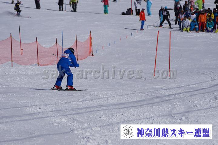 170304_133235_0.jpg