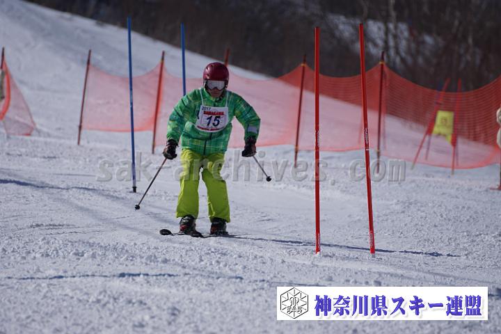 170304_133633_0.jpg