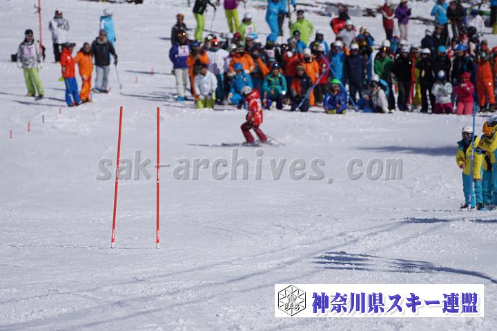 170304_133913_0.jpg