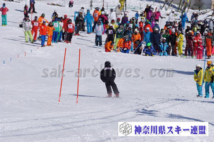 170304_134914_1.jpg