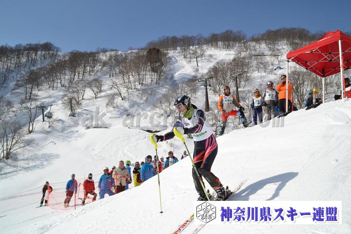20170304_090307_0.jpg