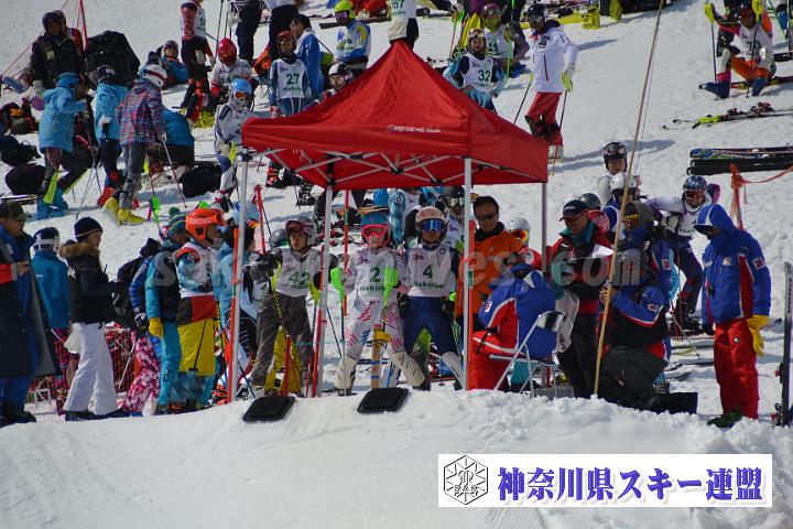 20170304_114315_0.jpg