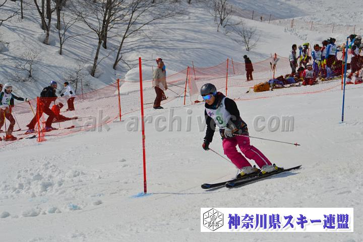 20170304_114639_2.jpg