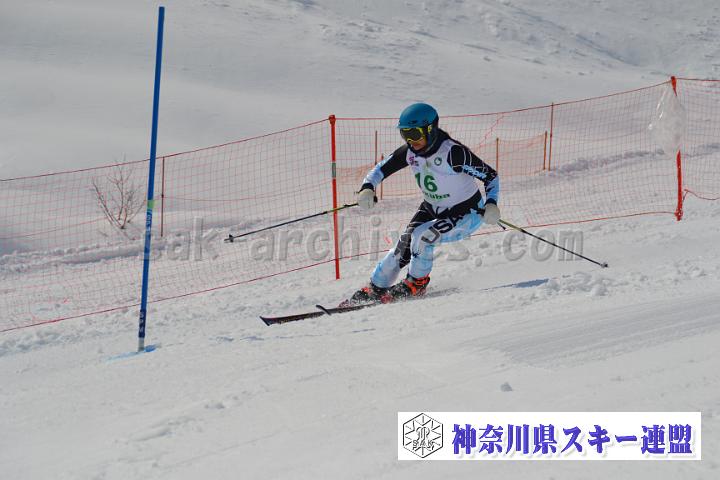 20170304_115346_2.jpg