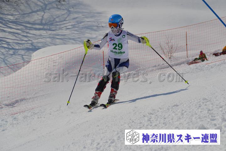 20170304_120143_0.jpg