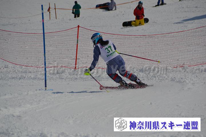 20170304_120450_0.jpg