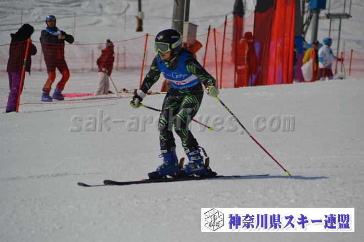 20170305_093115_2.jpg