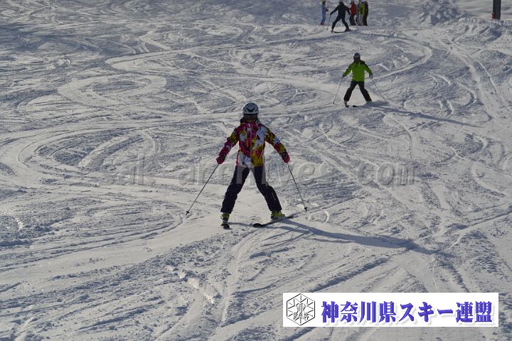20161216_110338_0.jpg