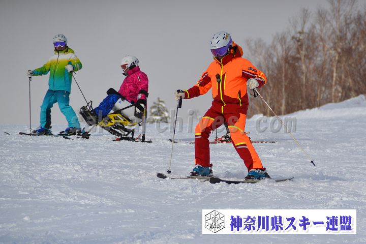 20161216_113608_0.jpg