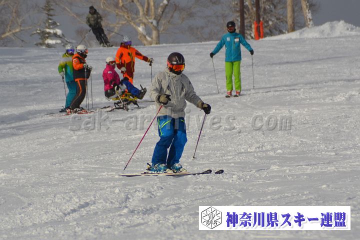 20161216_114219_0.jpg