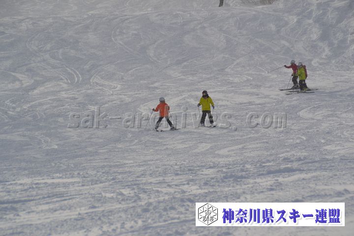 20161216_120035_0.jpg