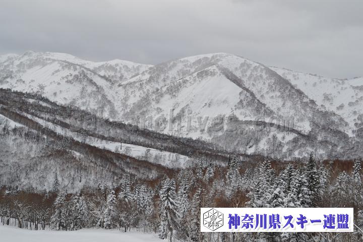 20171214_104726_0.jpg