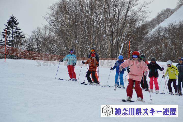 20171214_121015_3.jpg