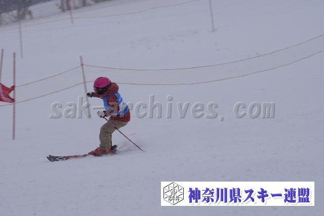180127_144007_2.jpg