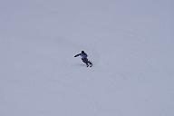 180127_141502_1