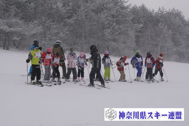 180218_092532_0.jpg