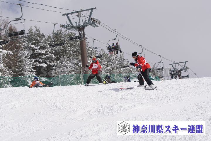 180218_115858_0.jpg