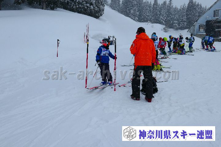 180302_110539_0.jpg