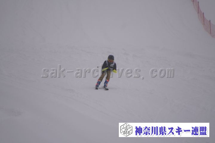 180302_114235_1.jpg