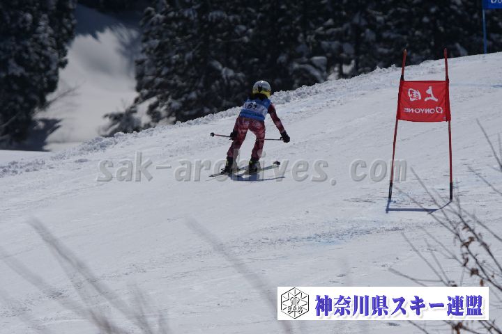 180303_102428_2.jpg