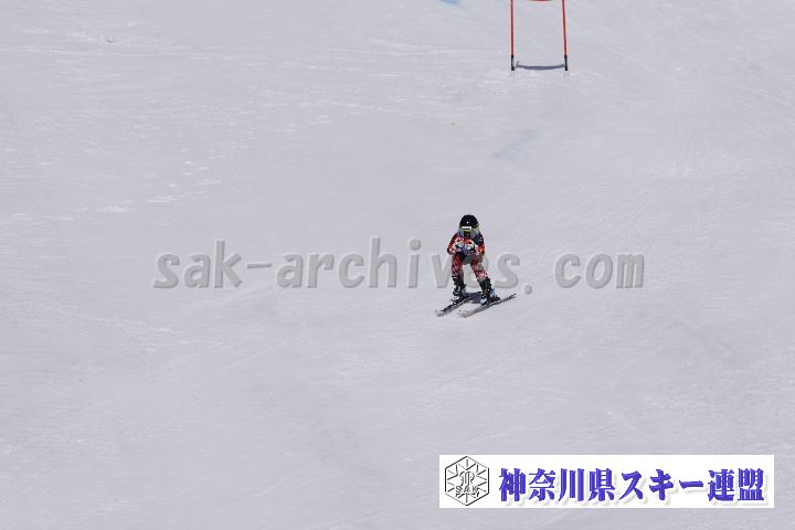 180304_112934_1.jpg