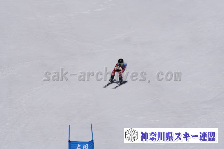 180304_112935_0.jpg
