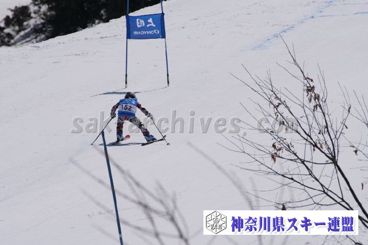 180304_113119_0.jpg