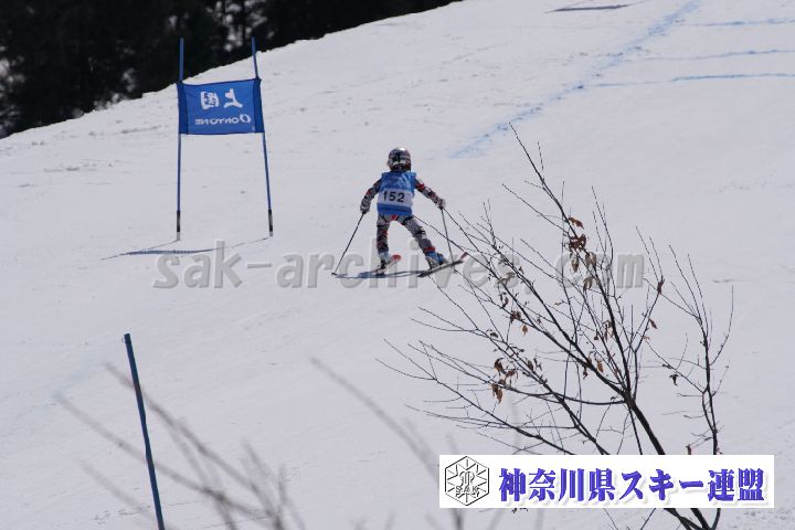 180304_113120_0.jpg