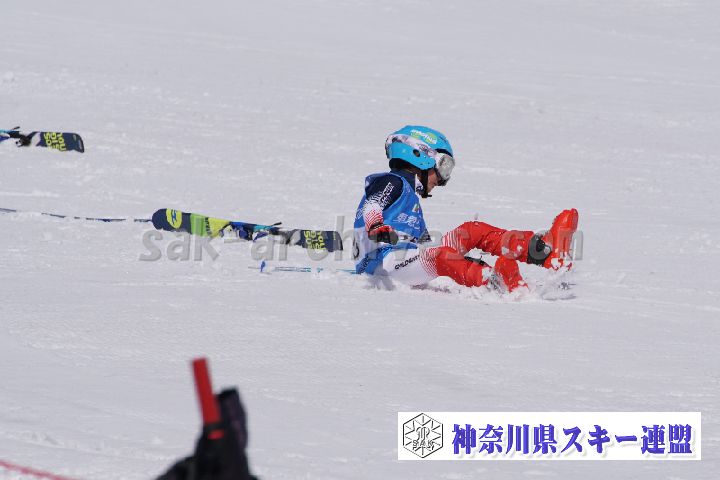 180304_113148_0.jpg