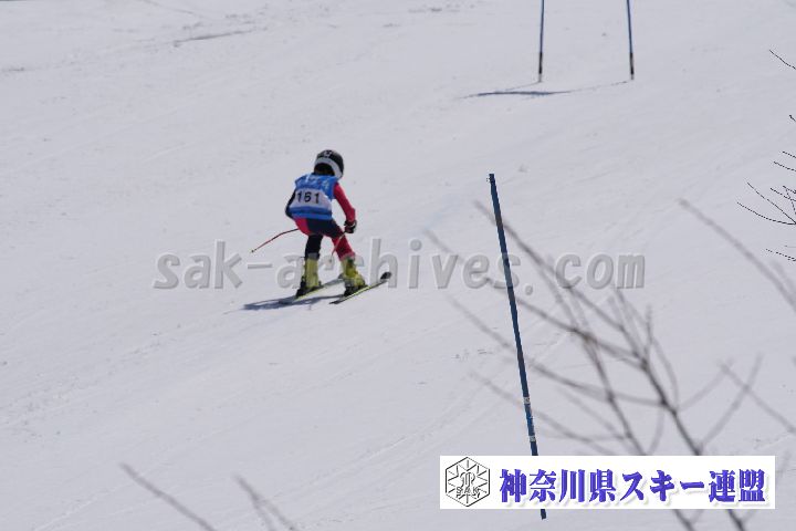 180304_114233_0.jpg