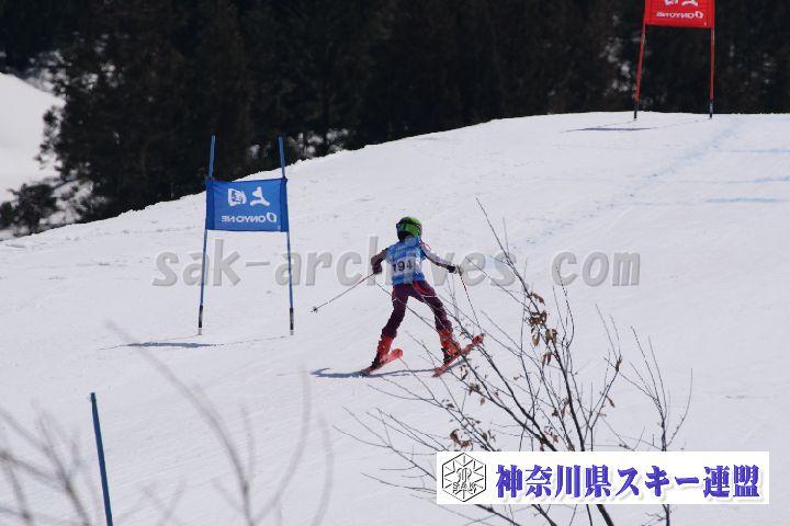 180304_120044_0.jpg