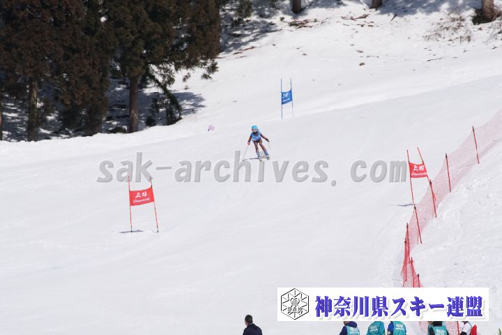 180304_102648_0.jpg